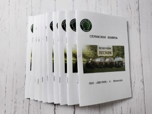 Каталог на скобу недорого