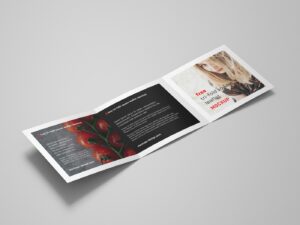 заказать Печать лифлетов 2 фальца