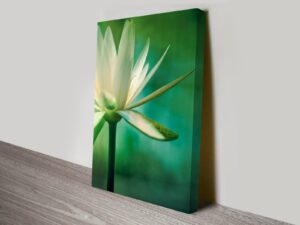 УФ печать на холсте в tprint