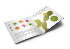 Печать буклетов малым тиражом в tprint