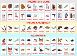 заказать Печать развивающих карточек для детей