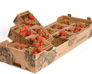 Коробки для сельскохозяйственной продукции в Москве