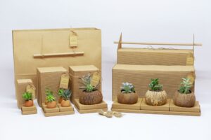 Коробки для транспортировки цветов