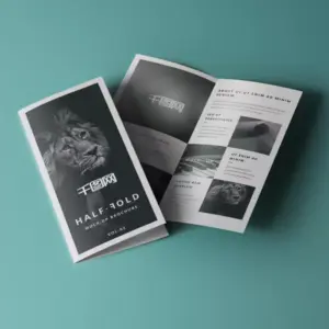 Черно-белые брошюры на заказ