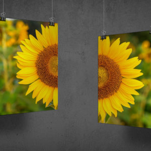 Цветная печать формата А1