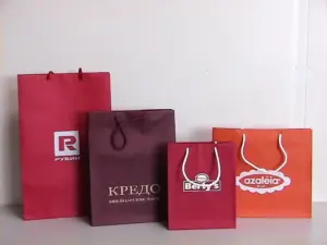 Изготовление бумажных пакетов малым тиражом недорого