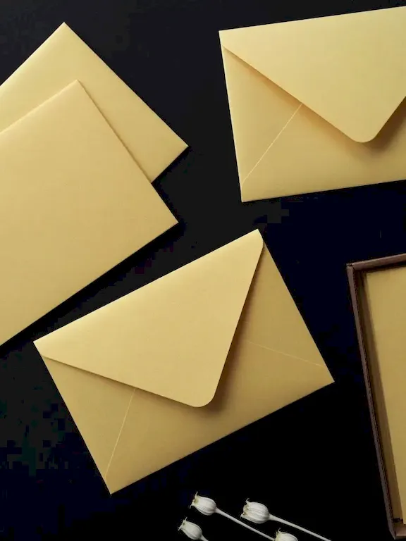 Конверты: виды и назначение недорого в tprint | фото 2