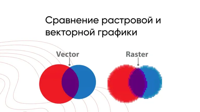 Отличия векторной и растровой графики в создании полиграфии