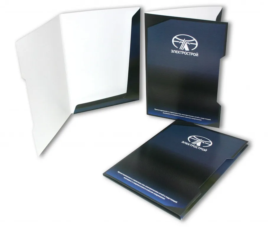 Печать папок с логотипом компании недорого в tprint | фото 1