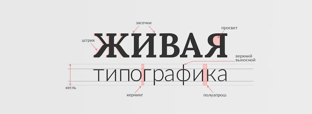 Стиль шрифта – какой выбрать для выпуска полиграфии? недорого в tprint | фото 2