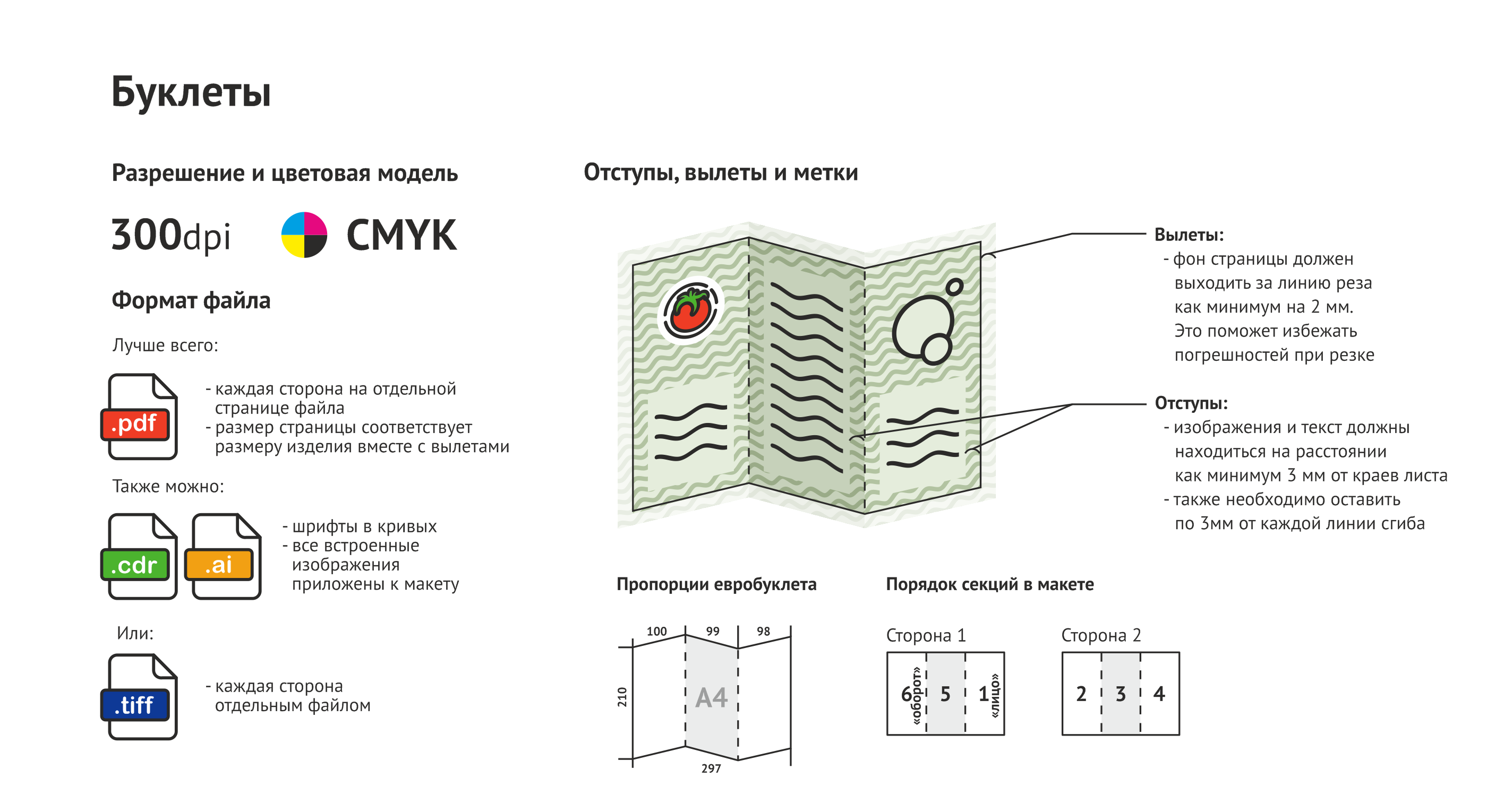 Техническое задание для типографии: как составить и примеры? недорого в tprint | фото 0