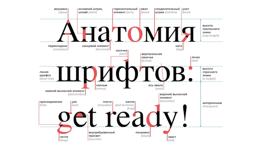 Правила выбора шрифтов для создания упаковки недорого в tprint | фото 0