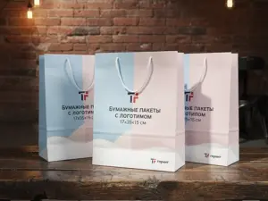 Бумажные пакеты с логотипом 17х35х15 см в Москве