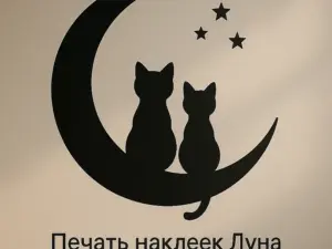 Печать интерьерных наклеек луна в Москве