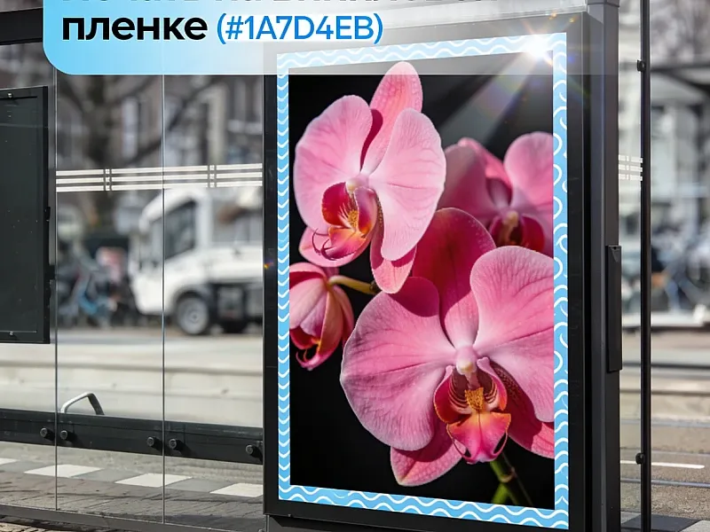Печать на виниловой пленке дешево